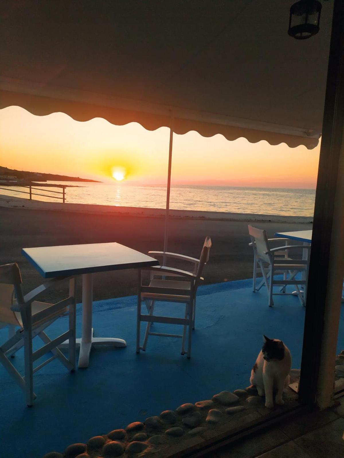 Meltemi Beach Apartments 멜라토스 외부 사진