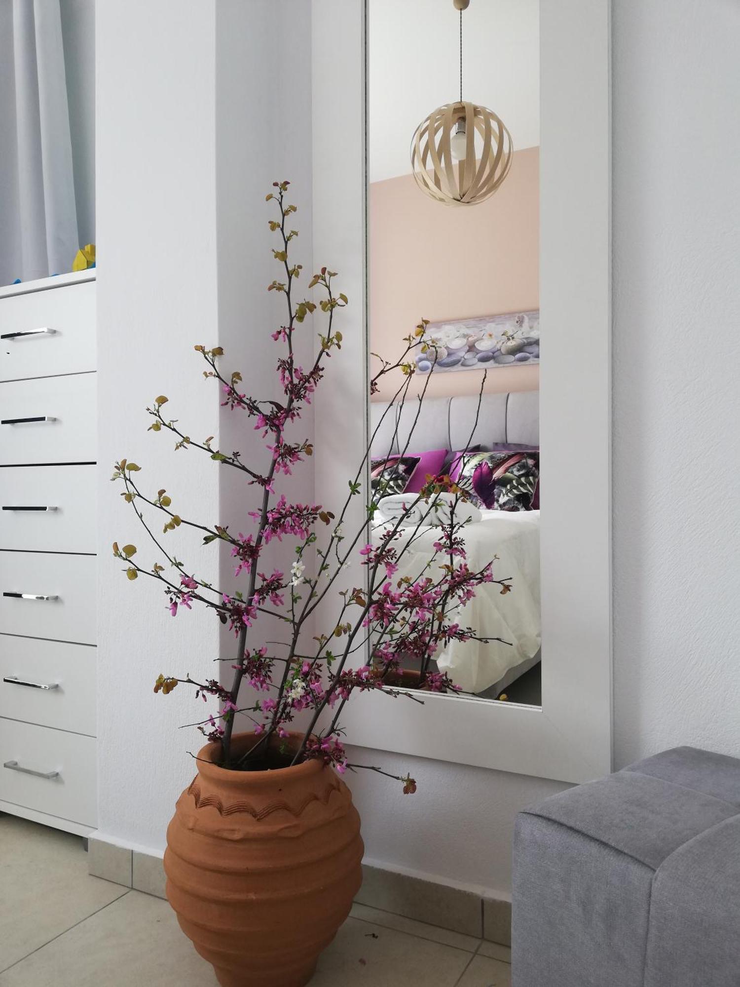 Meltemi Beach Apartments 멜라토스 외부 사진